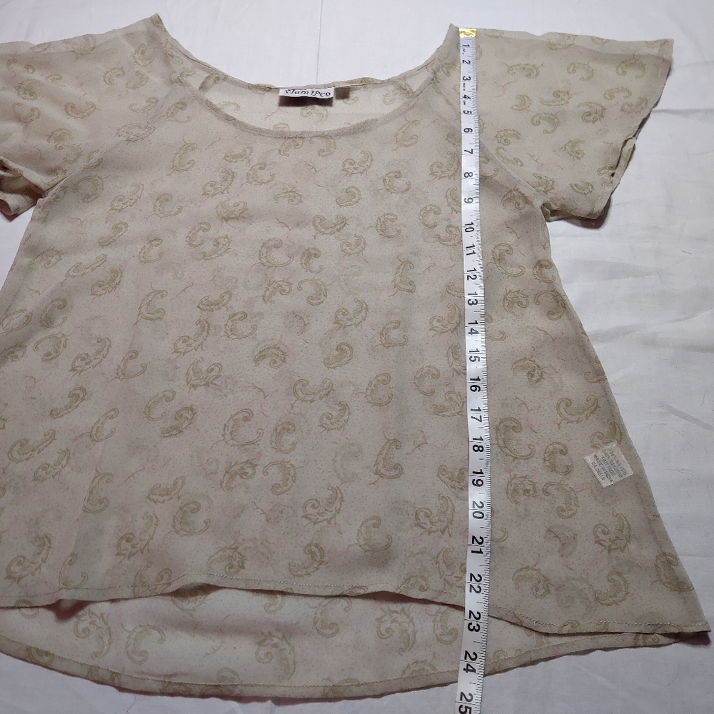 Plum Loco Blouse Women's Size 1 Beige Sheer Top Round Neck Short Sleeve Shirt - Picture 3 of 12